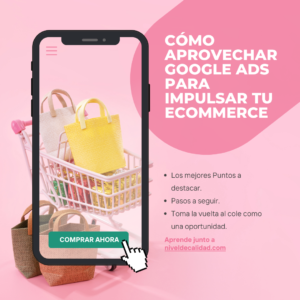 Ecommerce y Nivel de Calidad