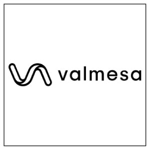 logo valmesa